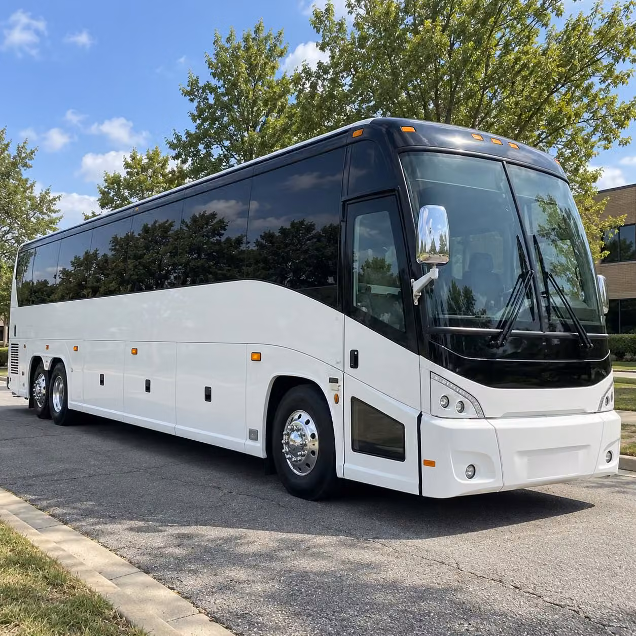 book prom transportation in tampa or any city nearby