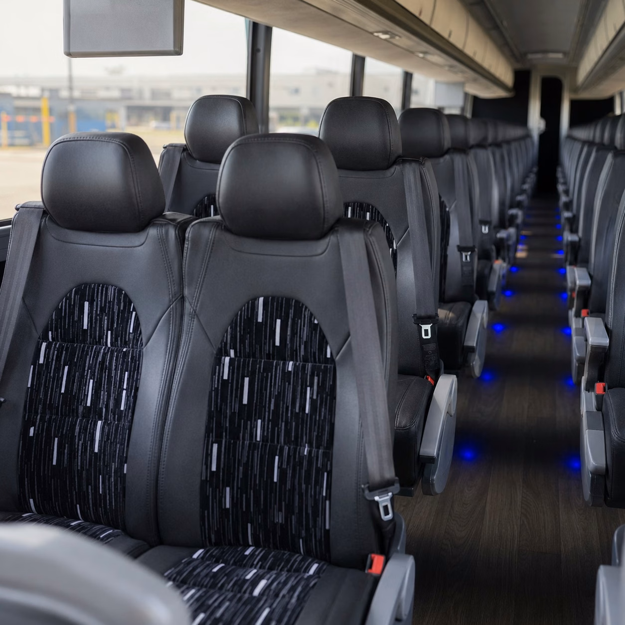 charter buses to the florida aquarium make tampa s best field trip even better