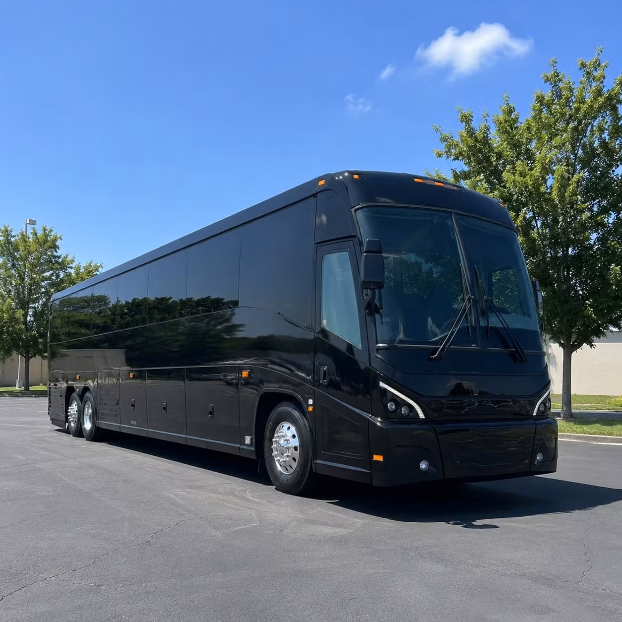 choose charter buses for tampa bay area government event transportation