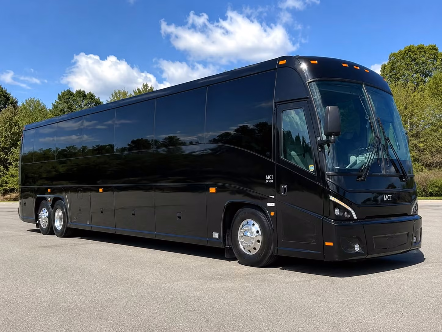 lowry park zoo and zootampa field trip buses are easy to book right here