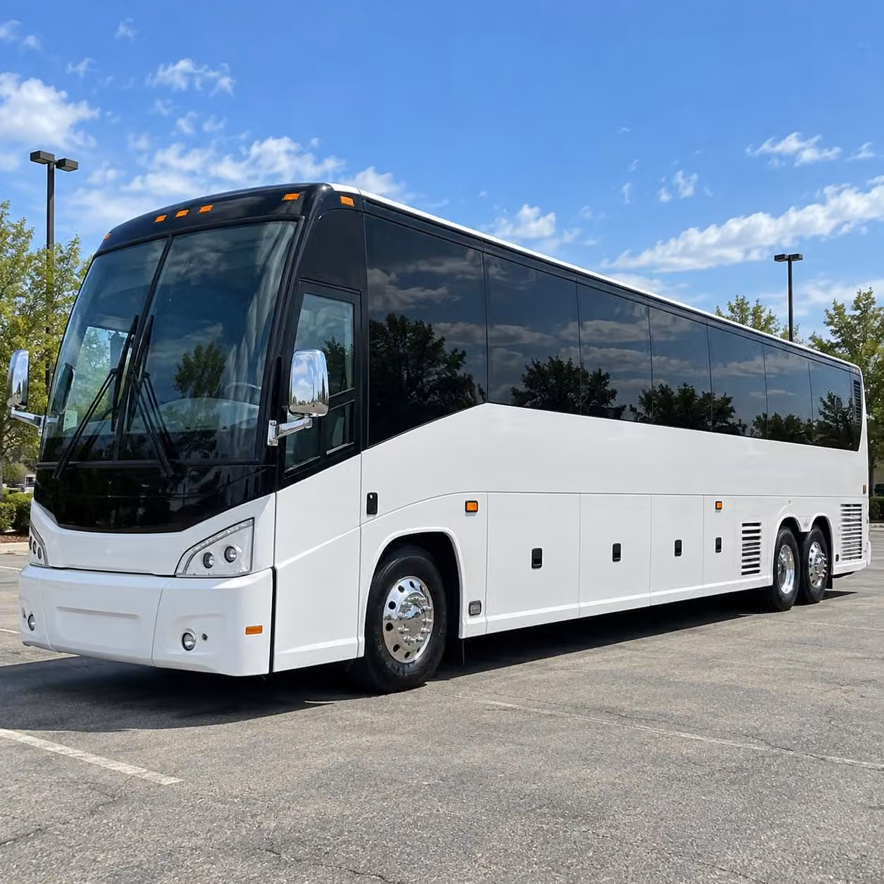 tampa bay rays transportation to tropicana field