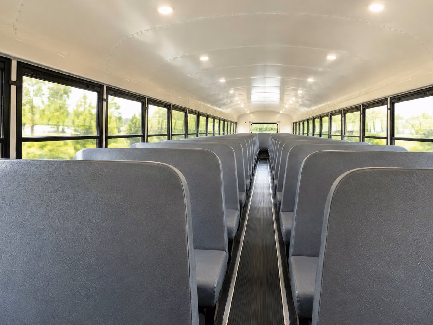 tampa school bus rental
